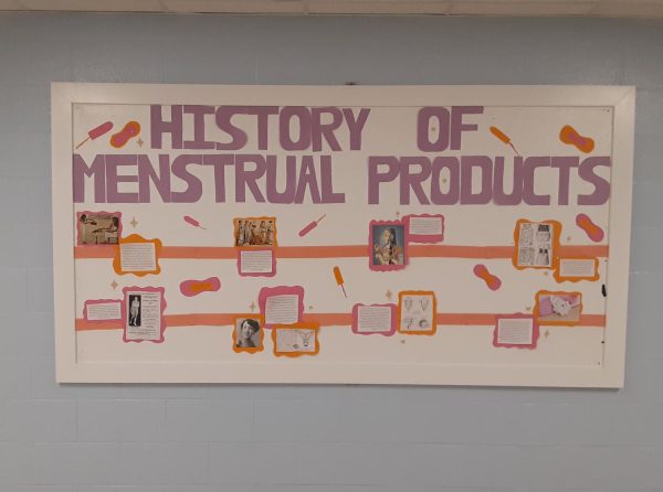GEMs Fight for Menstrual Products