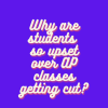 Students Are Upset Over Possible AP Class Cuts