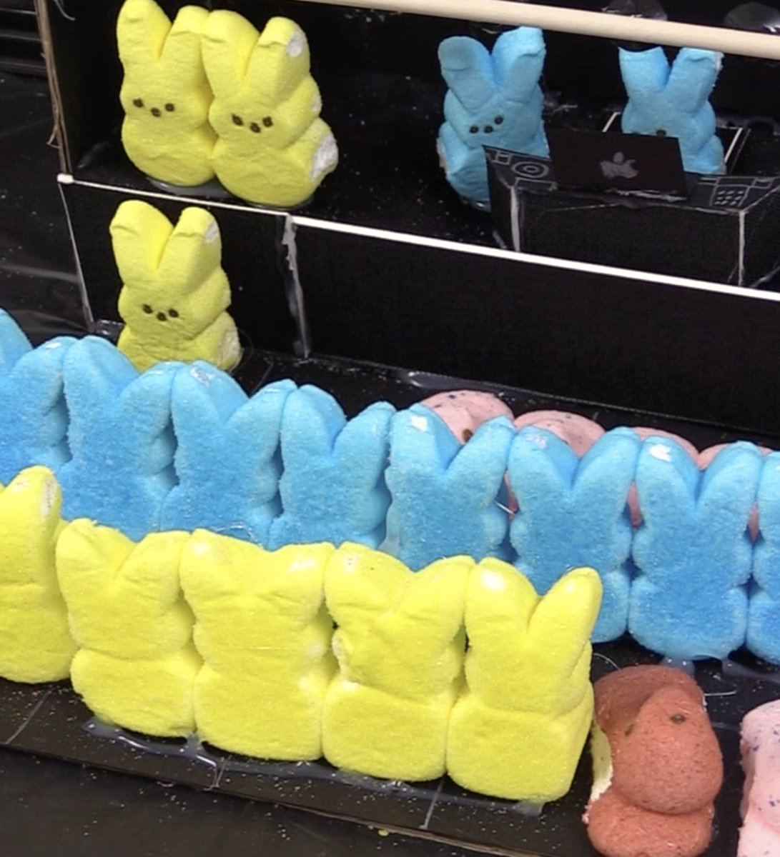 The Peeps Project