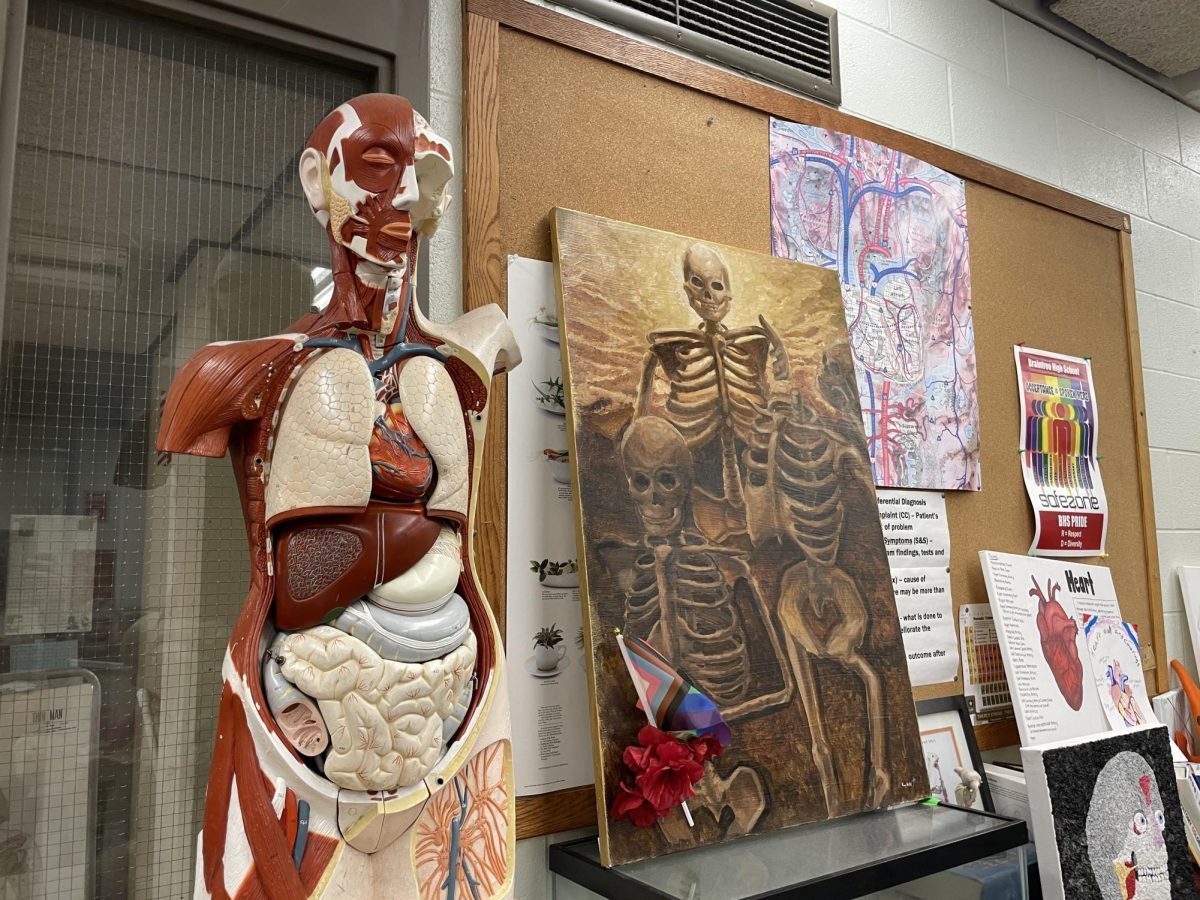 Photo of a skeleton in the BHS science room as healthcare is apart of this new career path program.