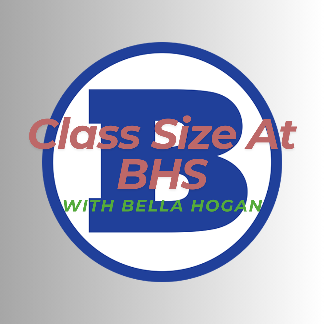 Big or Small: Class Sizes Matter