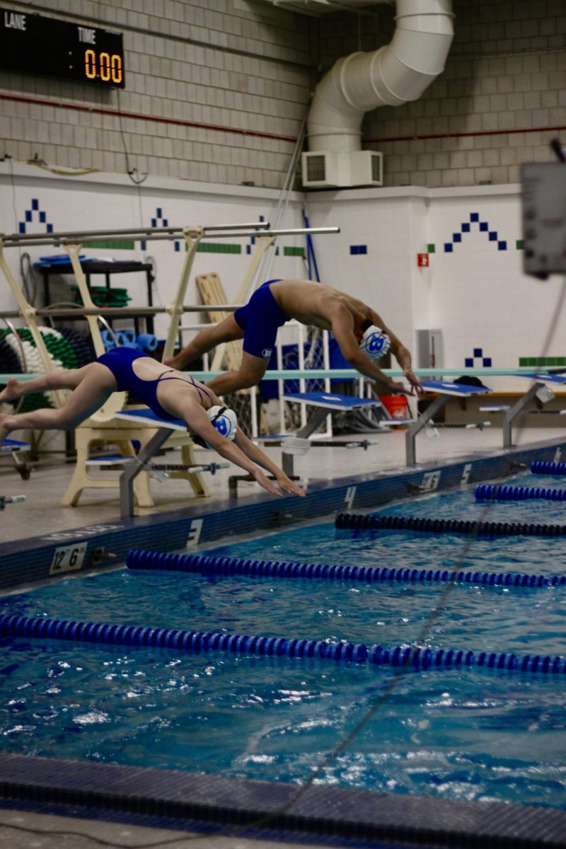 Braintree Swim and Dive warms up for their meet against Wellesley.