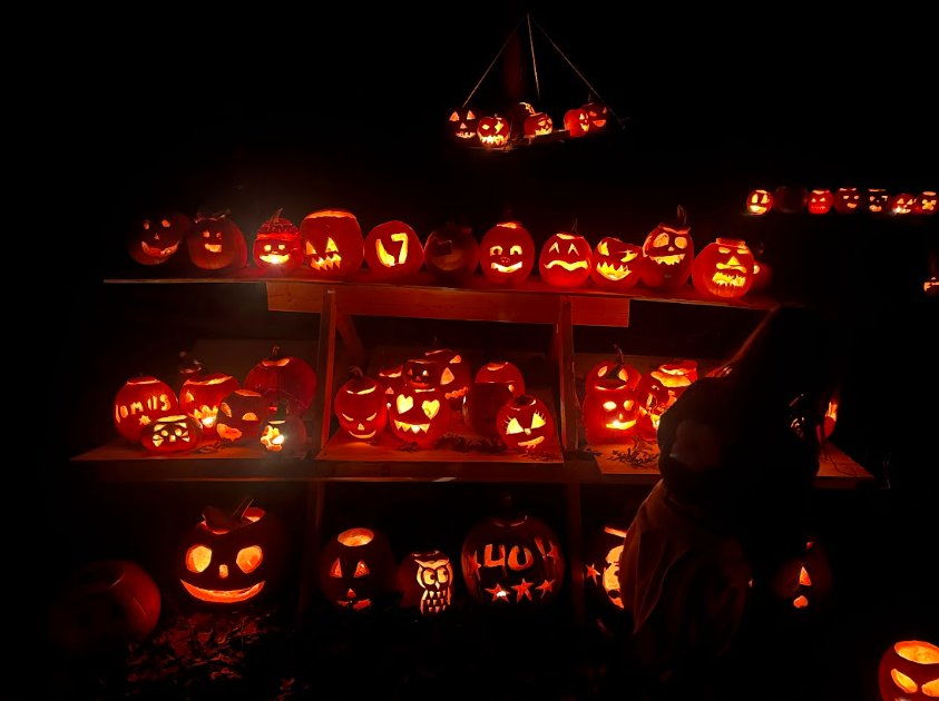 A young community member examines the pumpkins carved by other locals displayed along the nature trail at the Night of a Thousand Faces event on October 25.