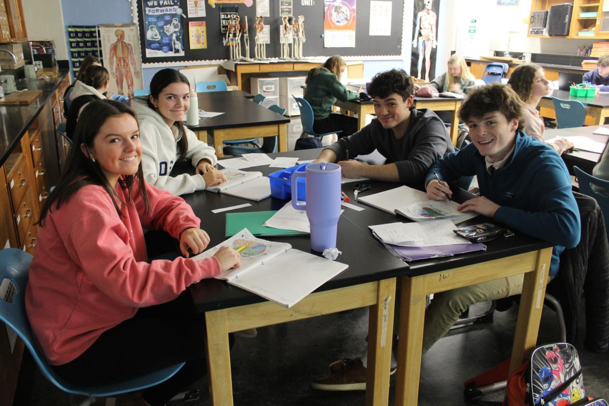 Seniors Ali Downing, Bridget Walsh, Alson Akshia, and Matt Erler work on classwork for PLTW Anatomy. 